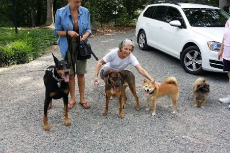 Englewood Cliffs Veterinary, PA