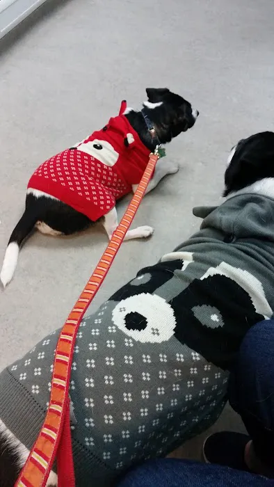 Englewood Cliffs Veterinary, PA 9