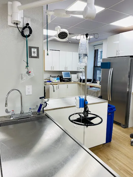 Community Veterinary Medicine 7
