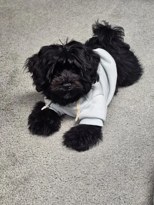 Fort Lee Animal Clinic 6