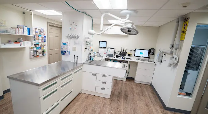 Fort Lee Animal Clinic 9