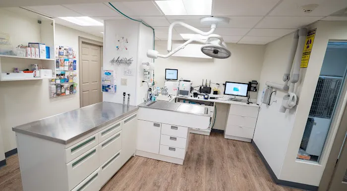 Fort Lee Animal Clinic 7