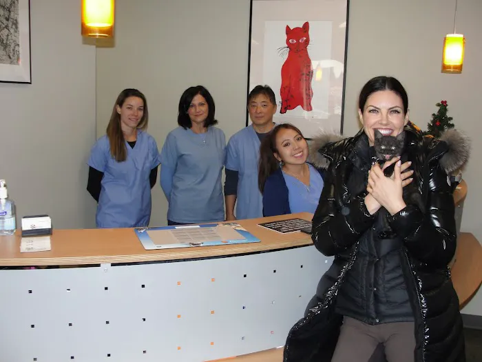 Edgewater Animal Hospital 12