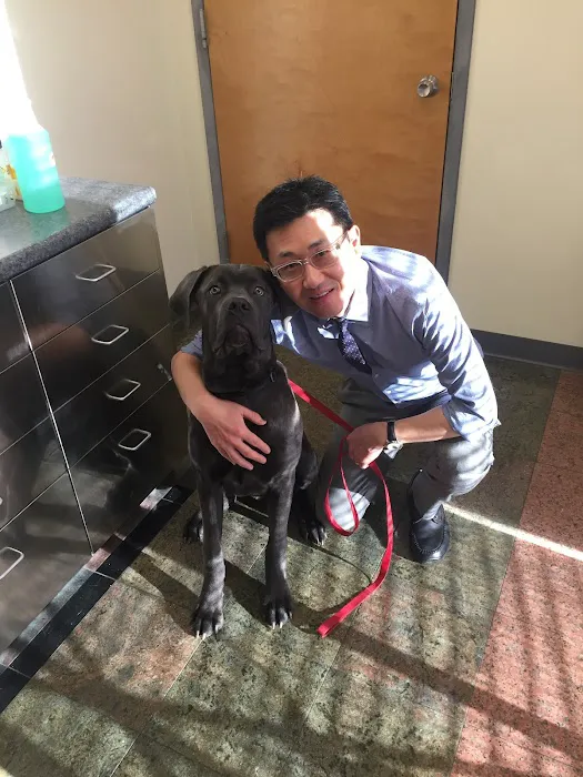 Edgewater Animal Hospital 12