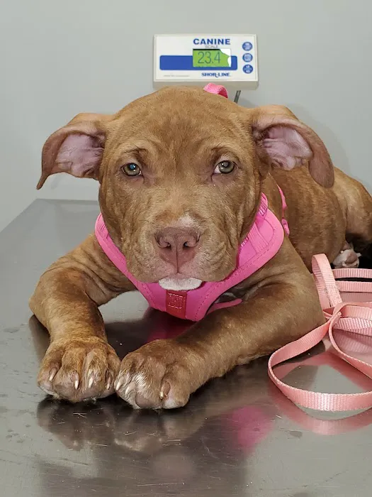 Edgewater Animal Hospital 12