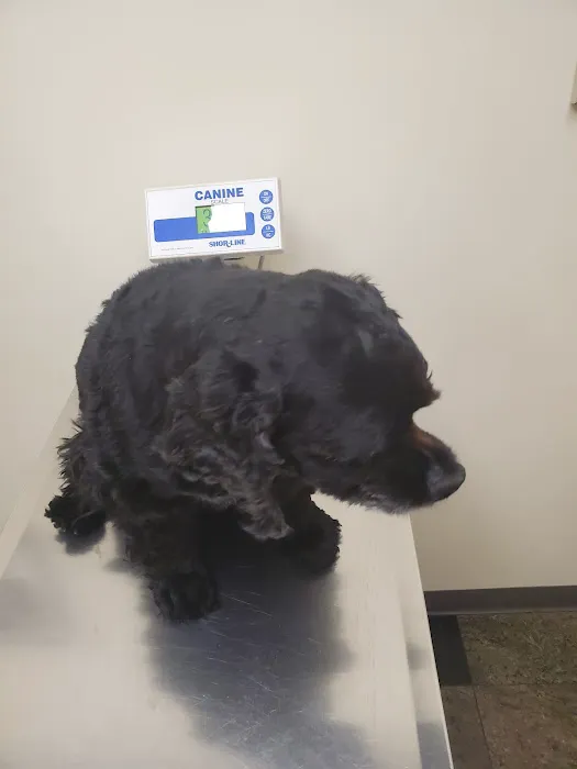 Edgewater Animal Hospital 12