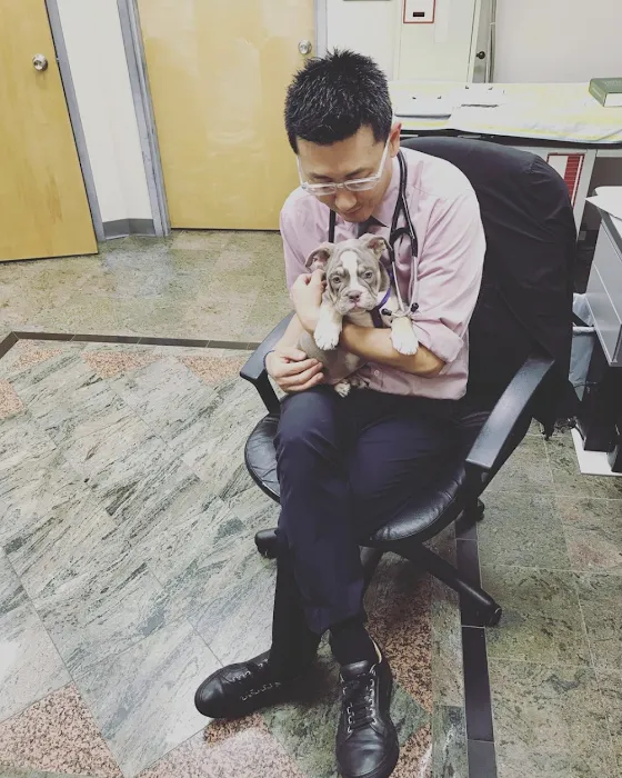 Edgewater Animal Hospital 12