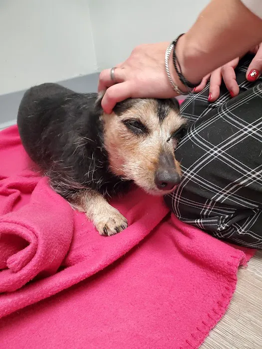 Sage Pet Hospital 9