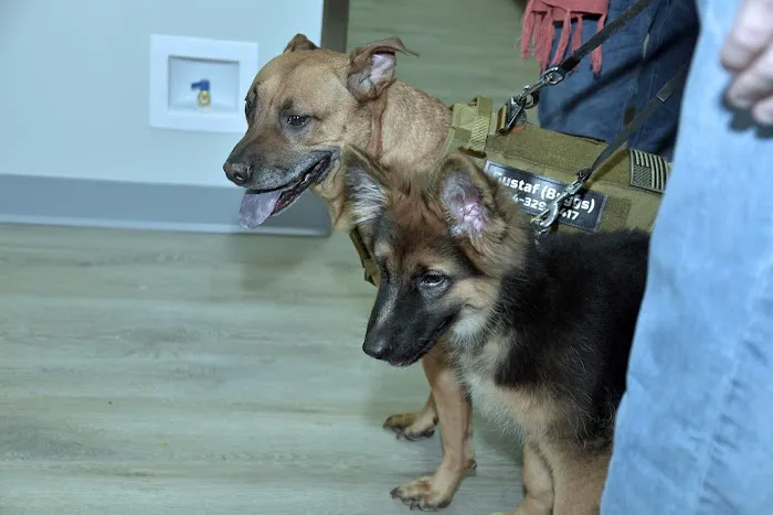 Sage Pet Hospital 7