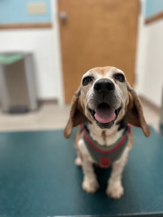 Laurel Park Animal Hospital 2