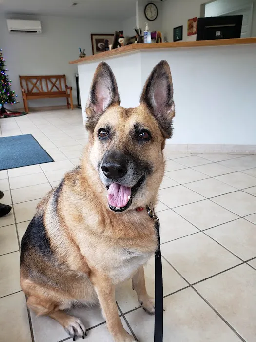 Haywood Animal Hospital 9