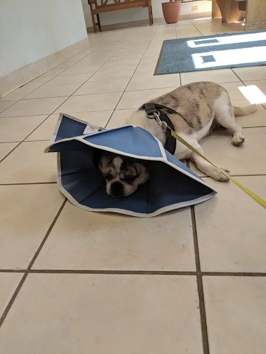 Haywood Animal Hospital 5
