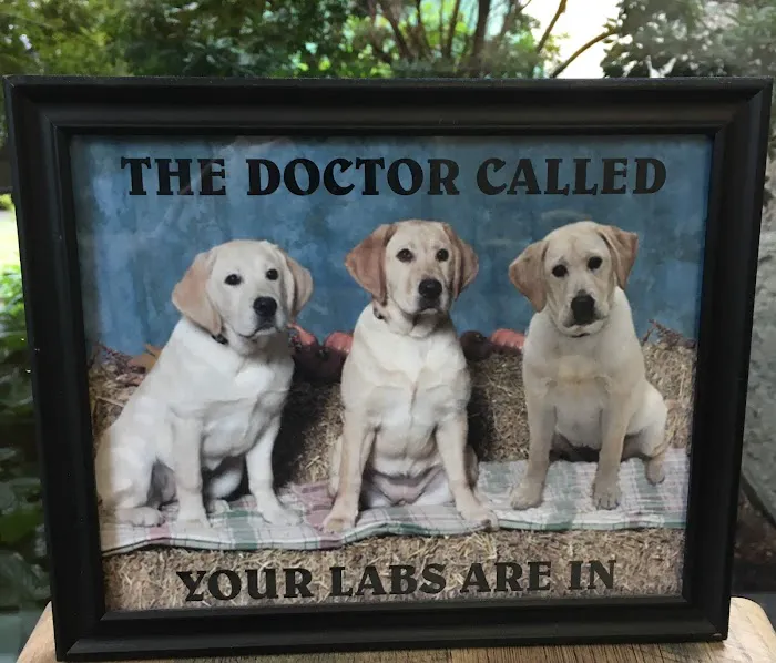 Haywood Animal Hospital 4