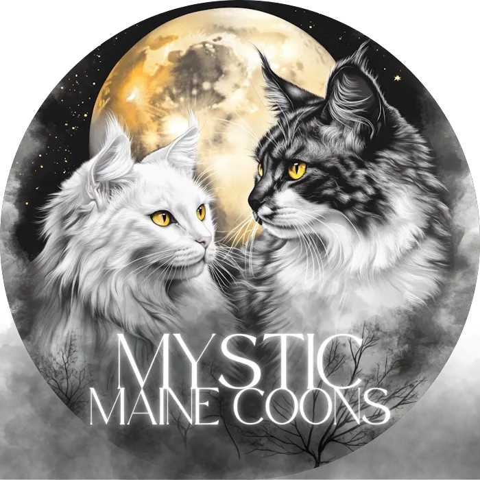 Mystic Mountain Maine Coons 9