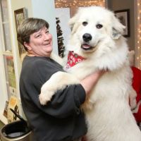 Hope Animal Hospital ico