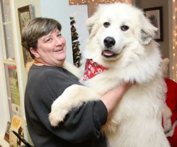 Hope Animal Hospital