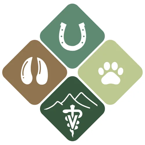 Foothills Animal Hospital 12
