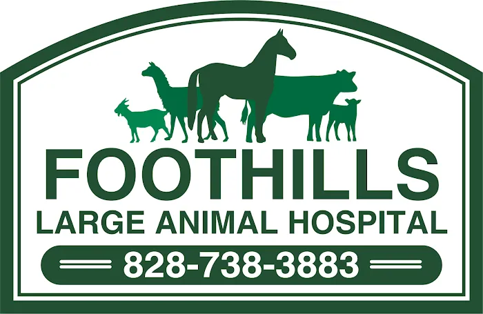 Foothills Animal Hospital 12