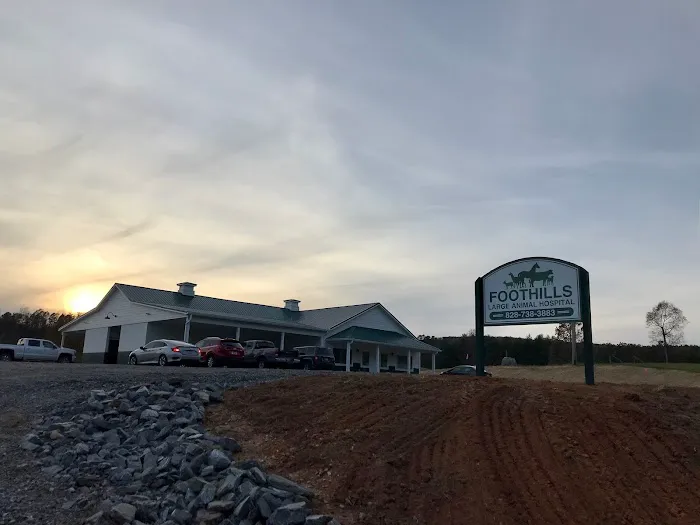 Foothills Animal Hospital 12