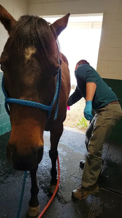 Foothills Animal Hospital 12