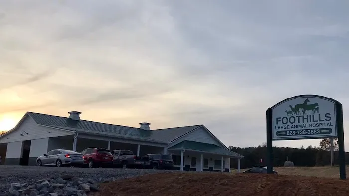 Foothills Animal Hospital 12