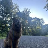 Crestview Veterinary Hospital ico