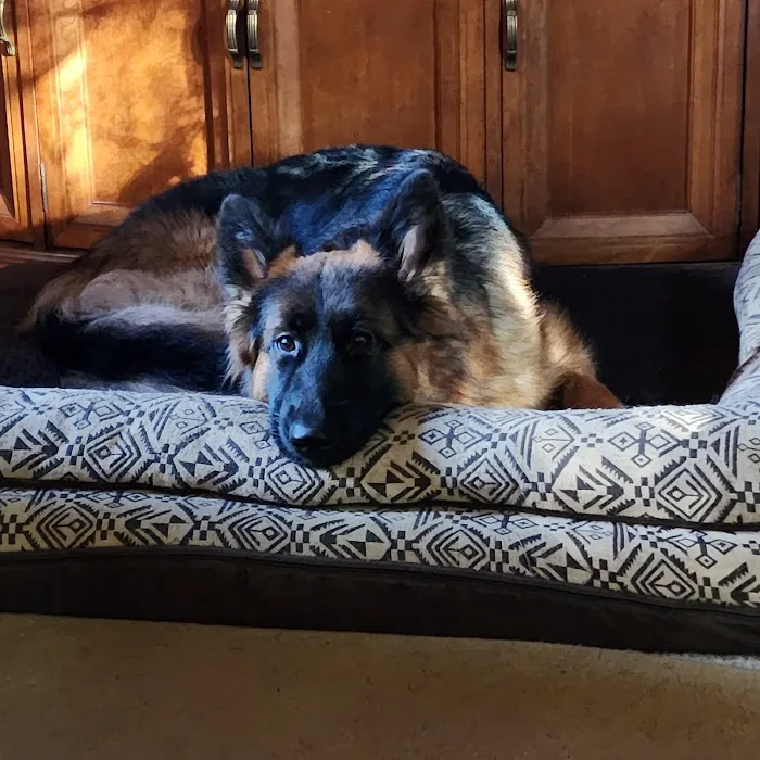 Crestview Veterinary Hospital 8