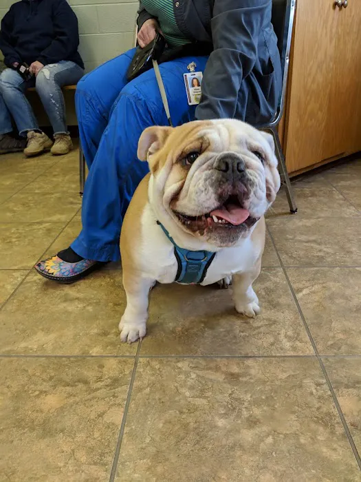 Animal Hospital of Marion Inc. 8