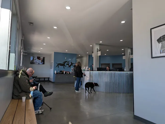 Animal Hospital of Marion Inc. 5