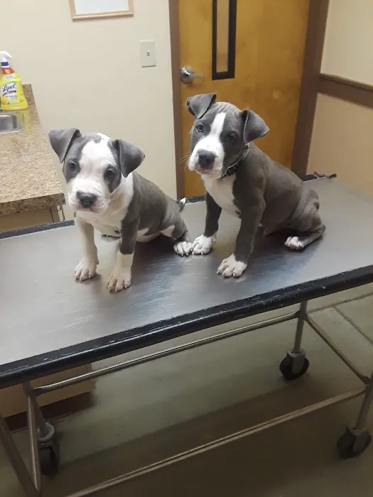 Boulevard Animal Hospital 9
