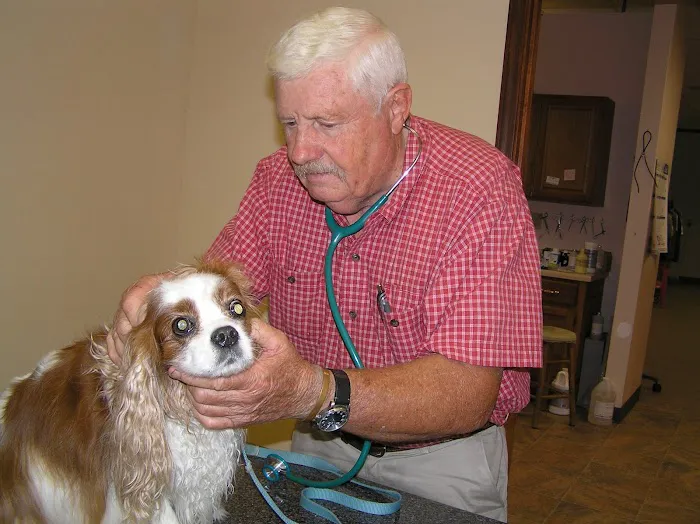 Veterinary Consultants Inc 4