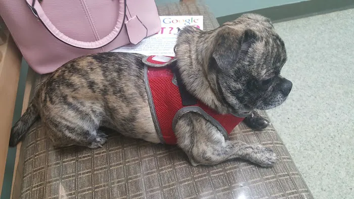 Cottonwood Veterinary Hospital 12