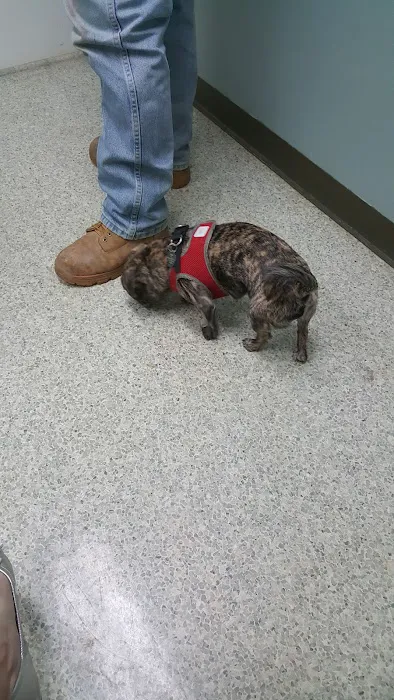 Cottonwood Veterinary Hospital 12