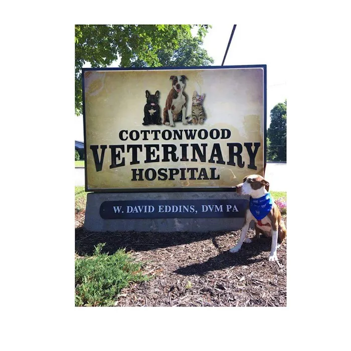 Cottonwood Veterinary Hospital 12