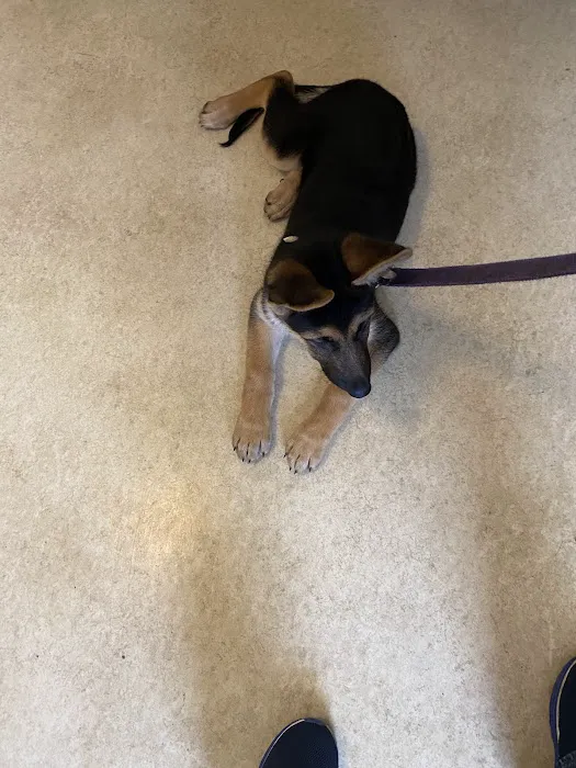 Cherokee County Animal Hospital 3