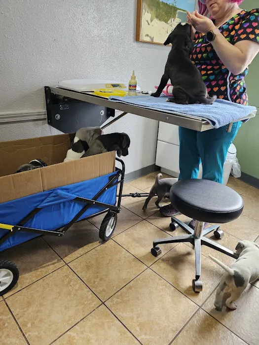 Utopia Animal Hospital 12