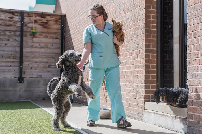 The Pet Hospitals Downtown 12