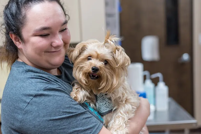 The Pet Hospitals Downtown 12