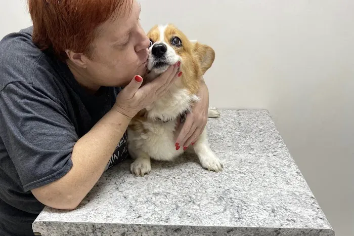 Shelby Center Hospital for Animals 12
