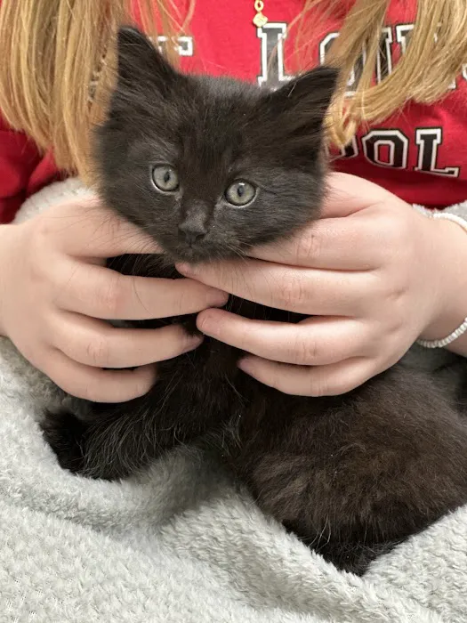 Shelby Center Hospital for Animals 12