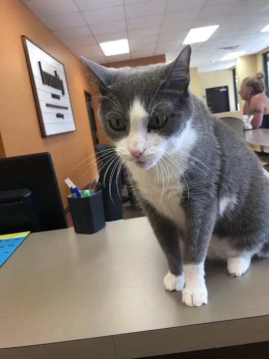 BrownDog Lodge Veterinary Clinic 12