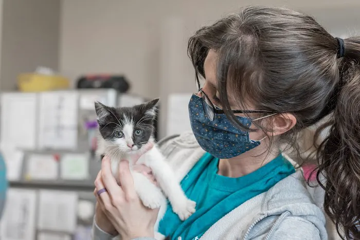 The Pet Hospitals 12