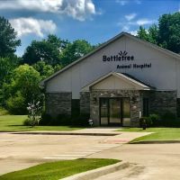 Bottletree Animal Hospital ico