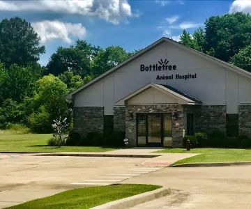 Bottletree Animal Hospital