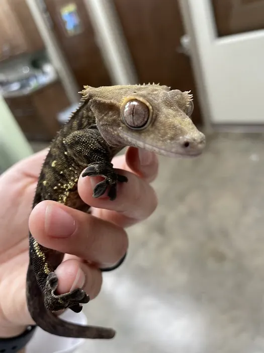 Bottletree Animal Hospital 12