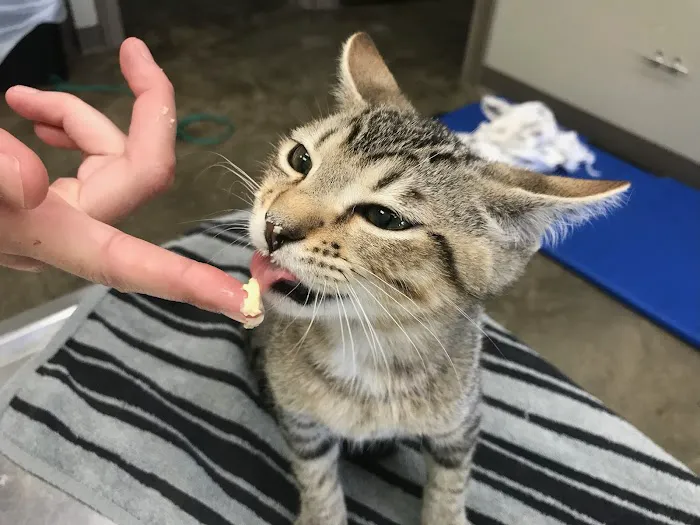 Bottletree Animal Hospital 12