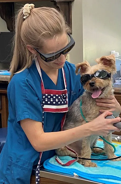 Bottletree Animal Hospital 12
