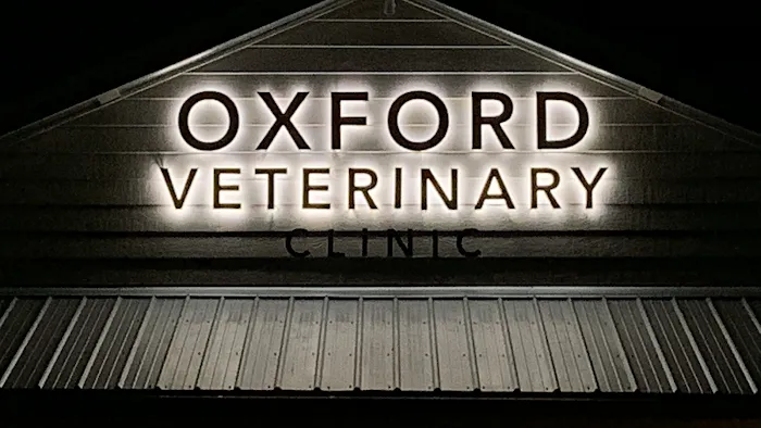 Oxford Veterinary Clinic 12