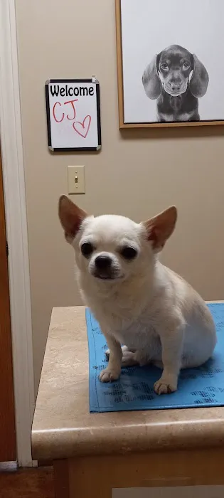 Oxford Veterinary Clinic 12
