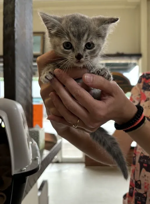 Hurtsboro Veterinary Clinic 12